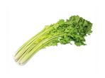 Celery