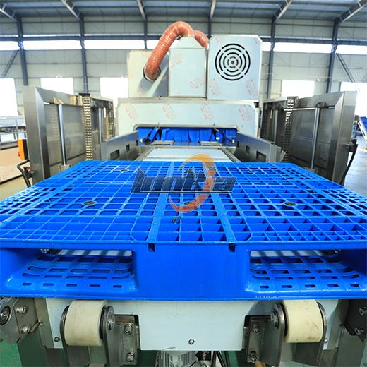 Pallet Washer