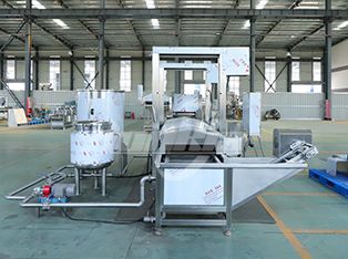 Continuous Frying Machine