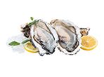 Shellfish