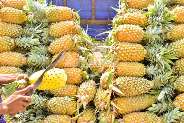 Pineapple