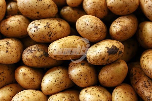 Potato Cleaning Machine Installation Guide for Food Processing Plants