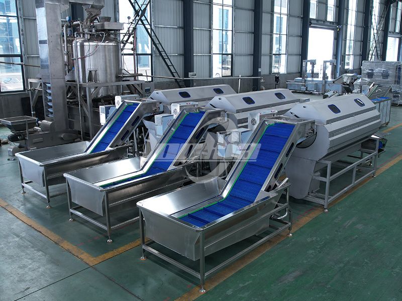 How to Choose the Right Potato Washer and Peeler Machine for Your Plant?