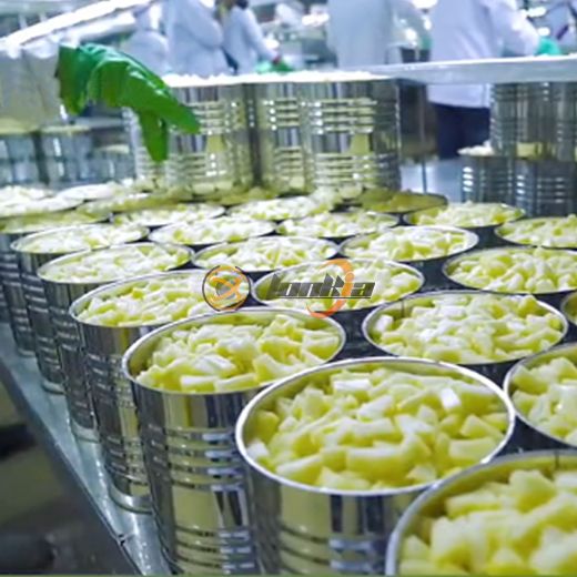 Pineapple Canning Processing Line