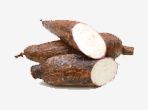 Sweet Potato