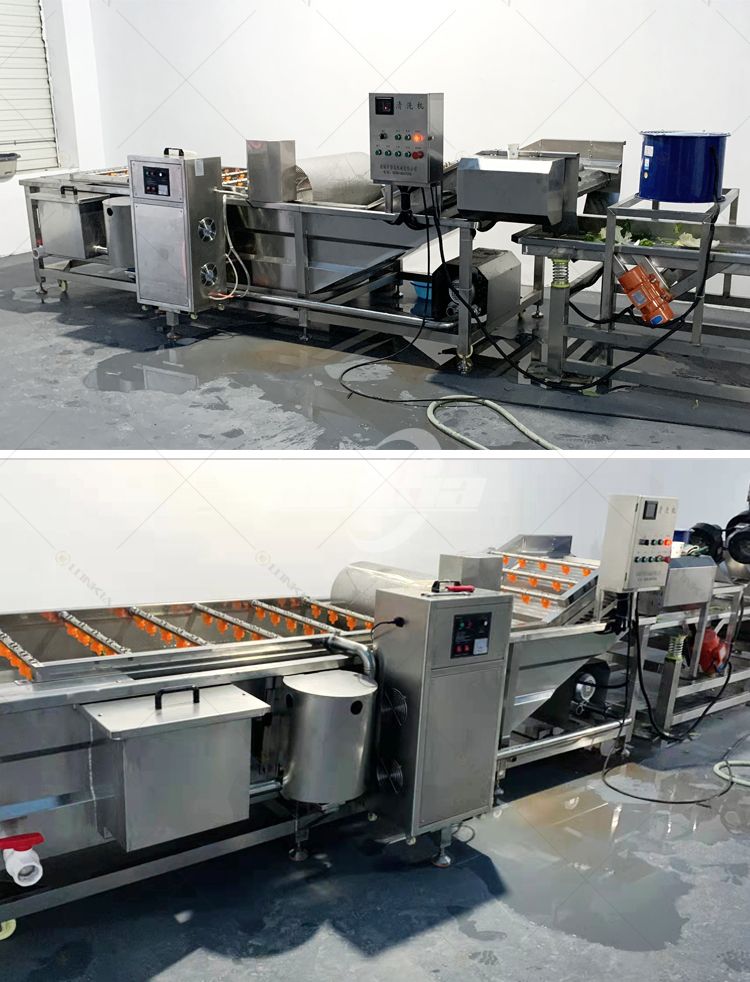 A Buyer’s Guide to Commercial Vegetable Washing Machine Price and Performance