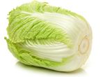 Chinese Cabbage