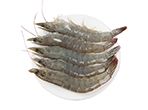 Prawns