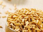 Wheat