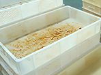 Plastic Crate