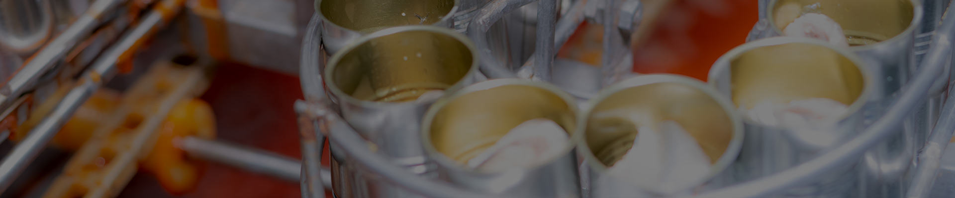 Canning Production Line