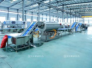 Fresh-Cut Vegetable Processing Line Product Photograph