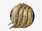 Shrimp