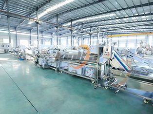 Tomato Canning Processing Line Product Photograph