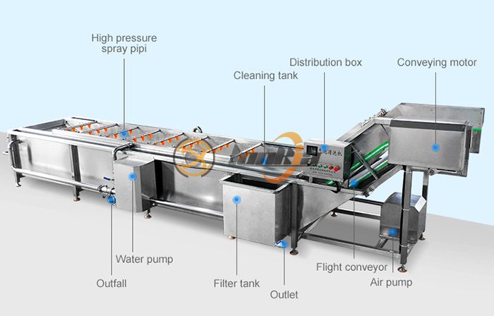 Best Vegetable Washing Machines for Restaurants, Farms, and Food Processing Plants
