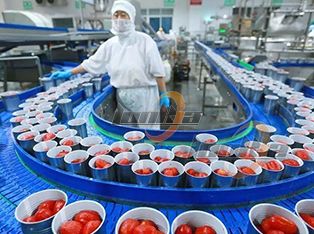 Tomato Canning Processing Line Product Photograph