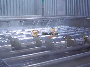 Pineapple Canning Processing Line Product Photograph