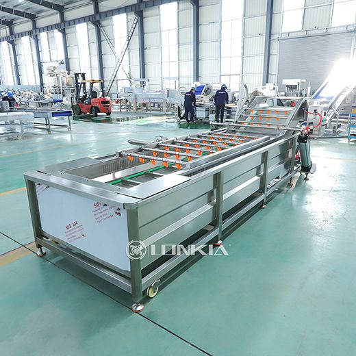 Cucumber Canning Processing Line