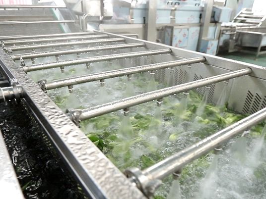 Fresh-Cut Vegetable Processing Line