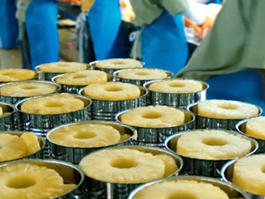 Pineapple Canning Processing Line