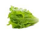 Lettuce
