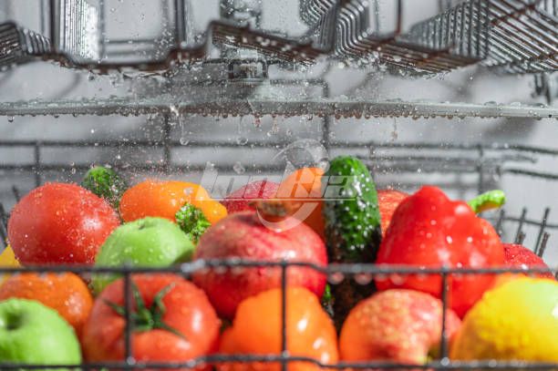 fruit and vegetable washing plant